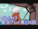 探し人を求めてwitcher3実況プレイ第238回