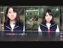 蜻蛉の便箋【√Letter Last Answer】