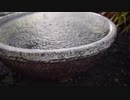 風見芳明