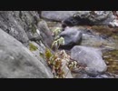 村島弘之