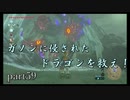 【ゼルダの伝説ブレスオブザワイルド】ドラゴンはいいから記憶の場所が知りたい【実況プレイ】part59