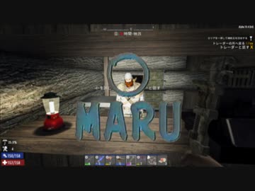 ７デイズトゥダディー14