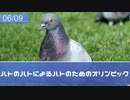 【実況】人間はあきらめて鳥類と恋愛する！【はーとふる彼氏-Hatoful Boyfriend-】＃3
