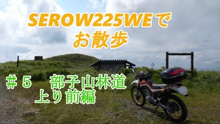 SEROW225WEで　お散歩　＃５　部子山林道上り　前編