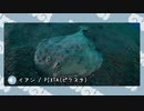 【剣盾】水族館パでワイワイバトル：12【ダブルランク・シーズン６】