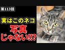 「18歳の天才画家に会う」の巻（第113話）