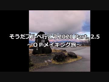 そうだ、ブルベ行こう2020　Part.2.5 「西伊豆スカイライン」  【ロードバイク車載】