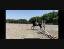 引退競走馬の【Vlog】part10 ベガスの初リトレーニング！