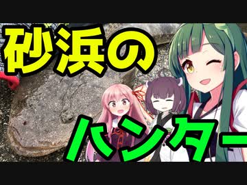 【1080p対応】東北ずん子のもっとドタバタ釣行記 砂浜に潜む狩人を釣り上げろ！