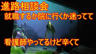 【進路相談会】就職するか院に行くか迷ってて【タートルトーク】東京ディズニーシー