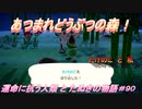 【あつ森】前人未島へようこそ！#90【あつまれどうぶつの森】