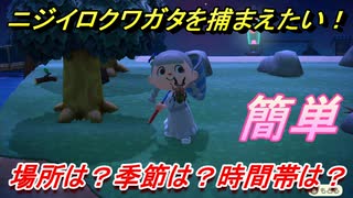 あつまれどうぶつの森　ニジイロクワガタを捕まえる条件とは！？季節は？時間帯は？場所は？　虫図鑑コンプへの道！虫捕り攻略。　【あつ森】