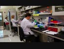 中国に買収されるアメリカの科学者、と思いきや、祖国に貢献する中国人のスパイ