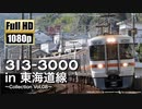 【JR東海】313系3000番台 in 東海道線 ～Collection Vol.08～