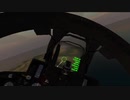 【VRChat】適当にドッグファイト垂れ流し【Aircraft Carrier Jets˸ F-14 】