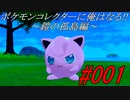 ポケモンコレクターに俺はなる‼～鎧の孤島編～#001