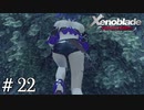 いやぁザトールは本当に景色が良いですね【ゼノブレDE実況＃22】