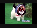 【雑コラ】師.団.マ.ス.コ.ッ.ト.ゾ.ム【wrwrd】