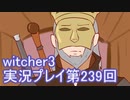 探し人を求めてwitcher3実況プレイ第239回