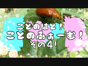 【VOICEROID園芸部】ことのふぁーむ！その４！【琴葉茜・葵】