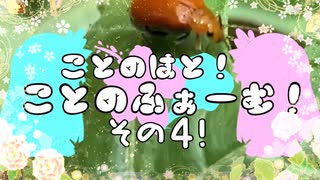 【VOICEROID園芸部】ことのふぁーむ！その４！【琴葉茜・葵】