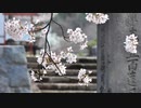【東方自作アレンジ】古の冥界寺