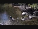 一ノ瀬君枝