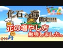 【あつ森】ビール飲みながら化石と石と花をいじる配信。 #48【24歳フリーター】【俺たちは家族だ】