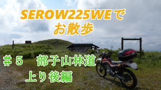 SEROW225WEで　お散歩　＃５　部子山林道上り　後編