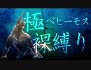 【MHWI】極ベヒーモスを裸装備で挑んでみた