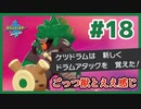 ごっつ獣とええ感じ【先輩後輩のポケットモンスターソード実況】#18