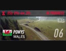 【DiRT Rally 2.0】The Solberg World Cup WALESに挑戦してみました。（10→12ステージ）