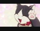 同居人はひざ、時々、ネコぱら。