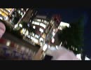 Panasonic 一眼レフの「博物館藻のカメラ」を1万円ほどで入手できました　＠Yahoo by ari_back