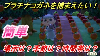 あつまれどうぶつの森　プラチナコガネを捕まえる方法！季節は？時間帯は？場所は？　虫図鑑コンプへの道！虫捕り攻略。　【あつ森】