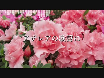 【AIきりたんオリジナル曲】アザレアの歌聲に