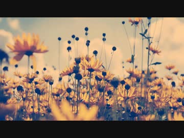 【歌ってみた】双生の狭間\Hagall×152Hz 【夕季森灯】