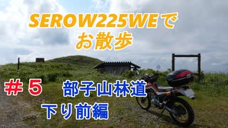 SEROW225WEで　お散歩　＃５　部子山林道下り　前編