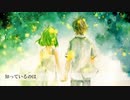 【ホシアイ】を歌ってみた//【音大卒のママ】のんこ