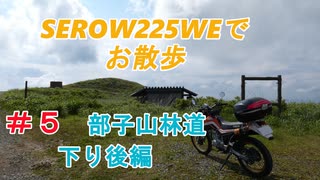 SEROW225WEで　お散歩　＃５　部子山林道下り　後編