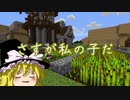 [マインクラフト]ゲリラと村と人形戦術記 その１２[ゆっくり実況]