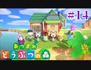 どう森歴17年目の初無人島生活ゆっくり実況【あつまれどうぶつの森】　＃14