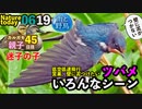 0619【ツバメいっぱい】カルガモ親子、迷子の子、ハト大群【今日撮り野鳥動画まとめ】