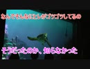 【知らなかった】なんでそんなにヒレがゴツゴツしてるの【タートルトーク】東京ディズニーシー