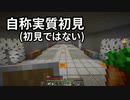 自称実質初見(初見ではない) #11 [ゆっくりMinecraft実況]