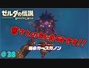 【続編決定記念】のんびりと伝説「ゼルダの伝説～ブレスオブザワイルド～」　＃38