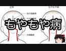 【ゆっくり朗読】ゆっくりさんと不思議な病気 その202