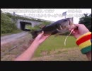 06.19 【魚釣り】梅雨のルワーヒッシング　