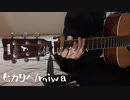 ヒカリヘ/miwa  弾き語り　高秋優斗