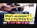 アコギでWhat's up;people?!(マキシマムザホルモン)を弾いてみた